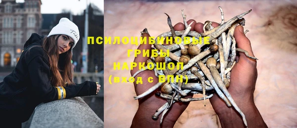 кокс Алексеевка