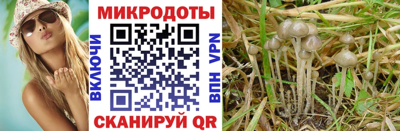 Псилоцибиновые грибы прущие грибы  Геленджик 